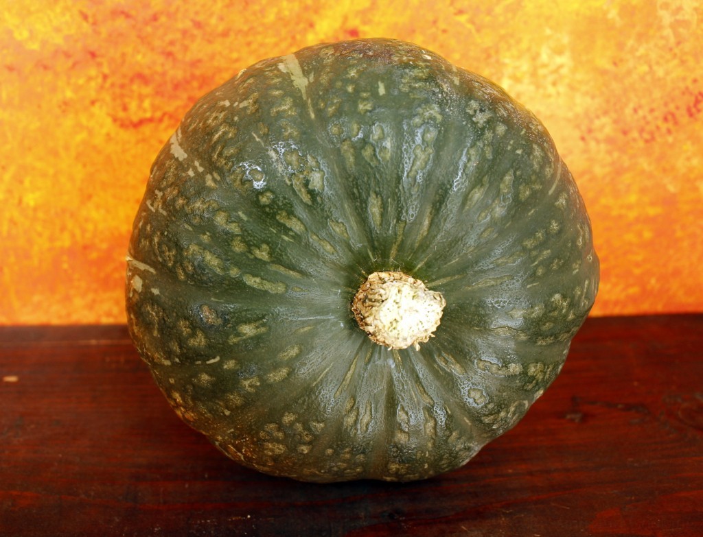 Zucca