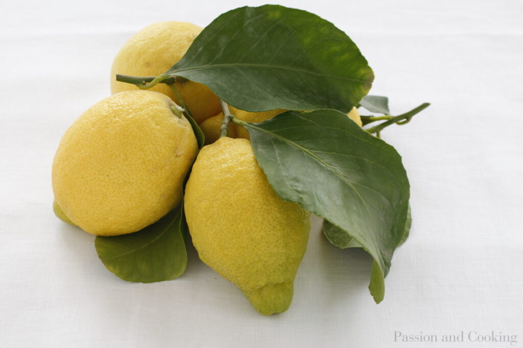 Limoni Amalfi