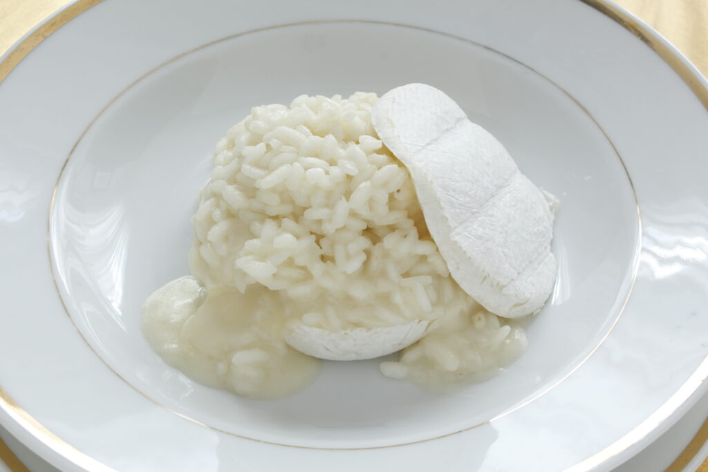 Risotto with tomino cheese